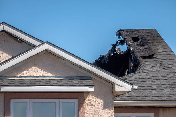 Top rated local Board Up Services specialists in Litchfield Park, AZ